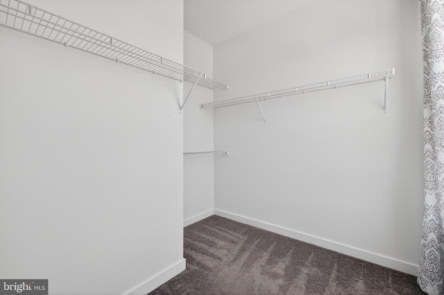 91 Cilantro Lane photo 27