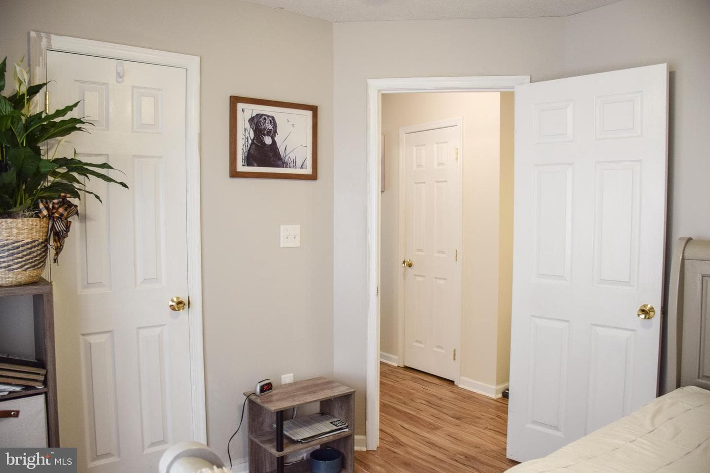 169 Marlowe Drive photo 20