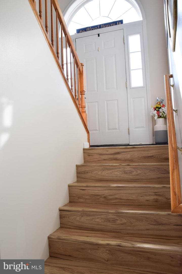 169 Marlowe Drive photo 24