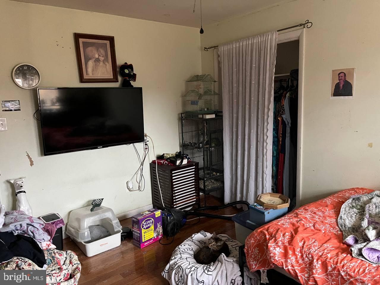 67 Gregory Drive photo 15
