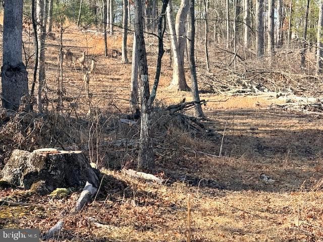 1156 Providence Church Road photo 98