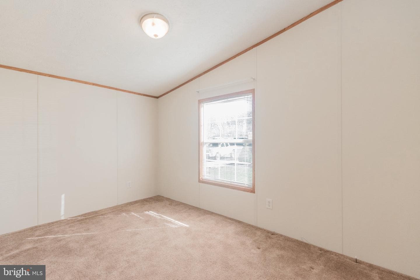 141 Janesa Drive photo 39