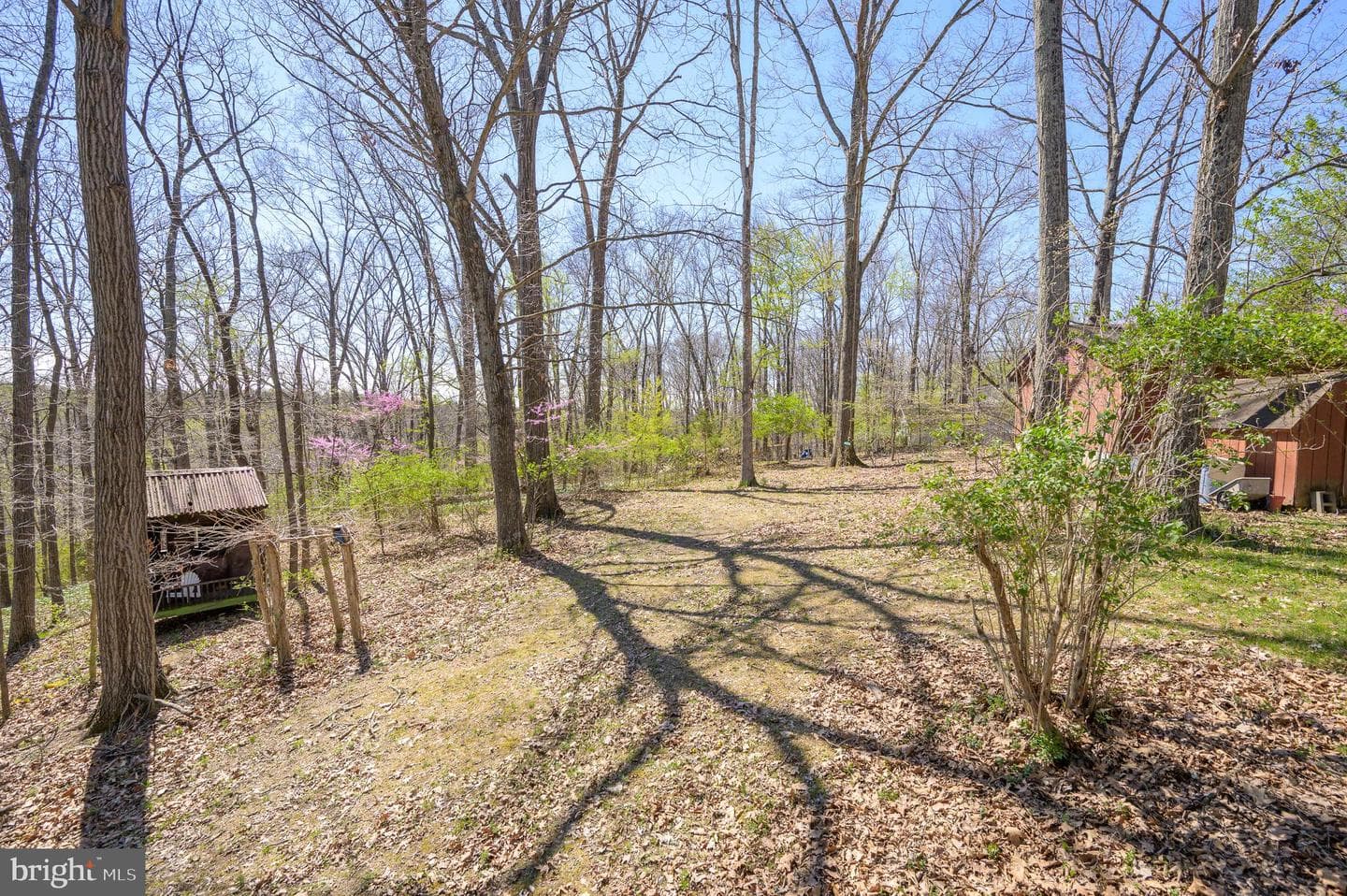 1524 Lamplight Road photo 40
