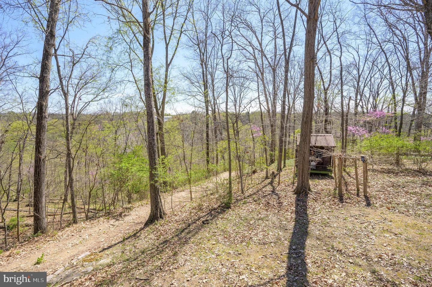 1524 Lamplight Road photo 41