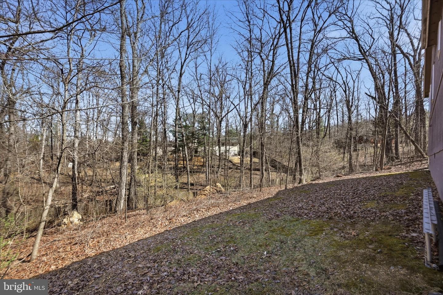 110 Tall Pine Lane photo 36