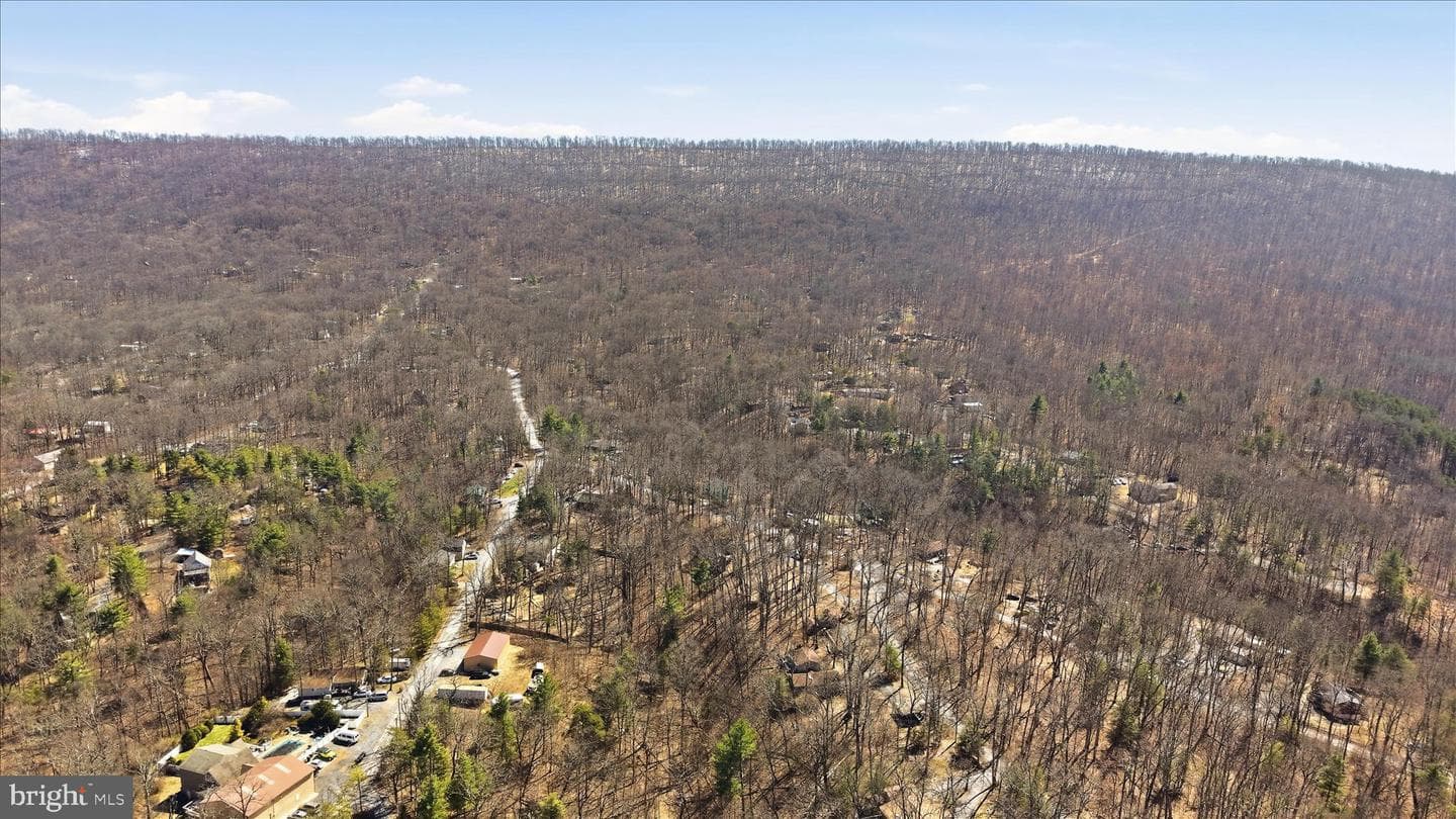 110 Tall Pine Lane photo 42