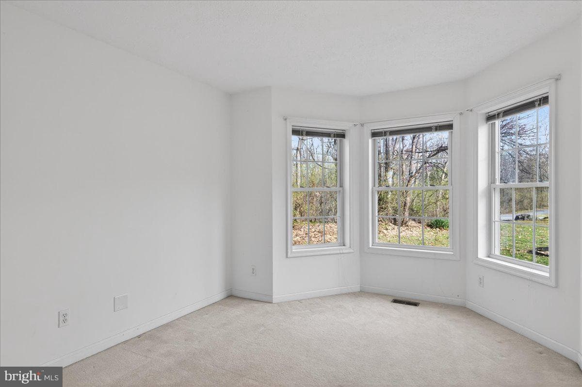 352 Doe Run Road photo 22