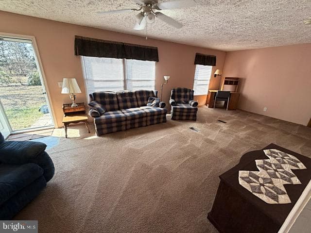 132 Powell Lane photo 12