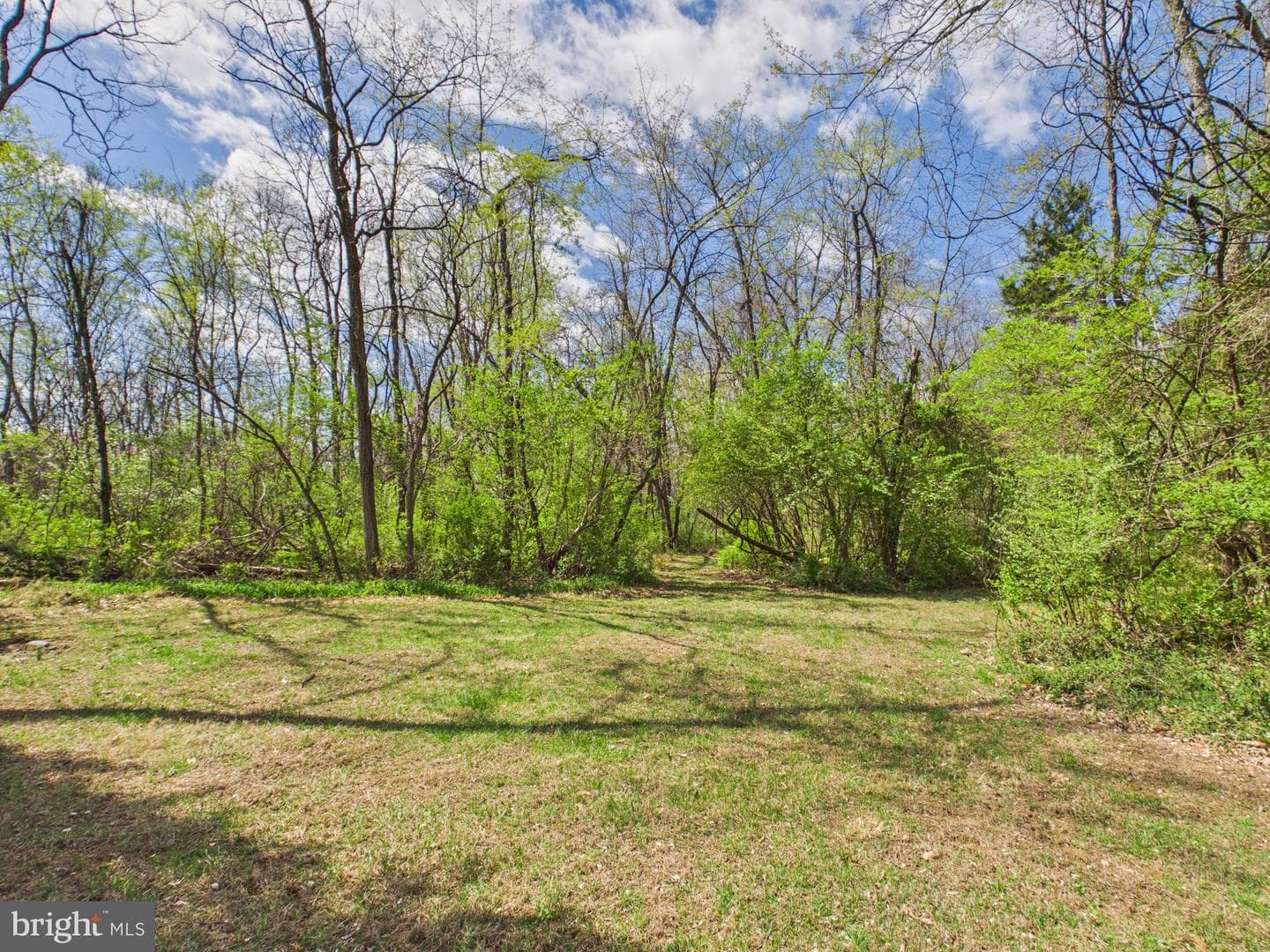 779 Cider Drive photo 13