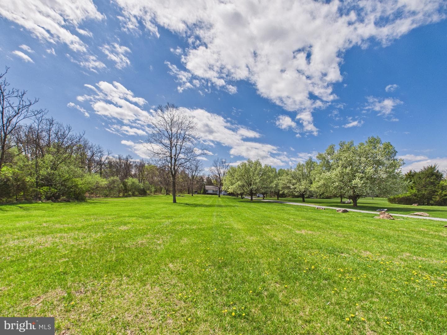 779 Cider Drive photo 15