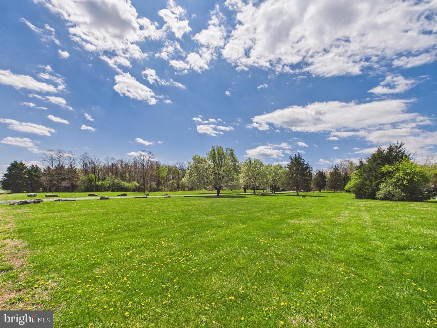 779 Cider Drive photo 18
