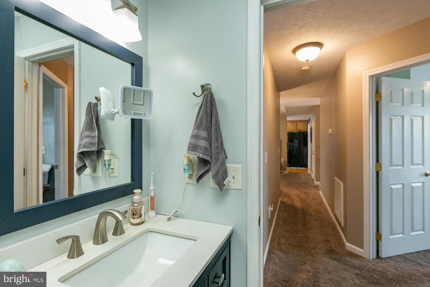 169 Lure Court photo 65
