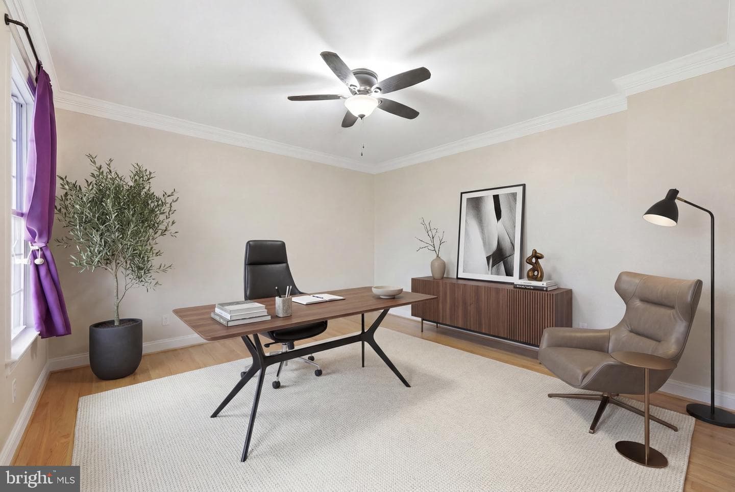 15 Branson Court photo 68