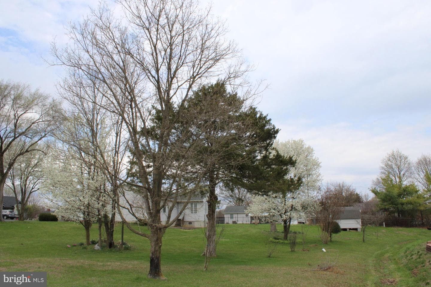 142 Braddock Boulevard photo 35