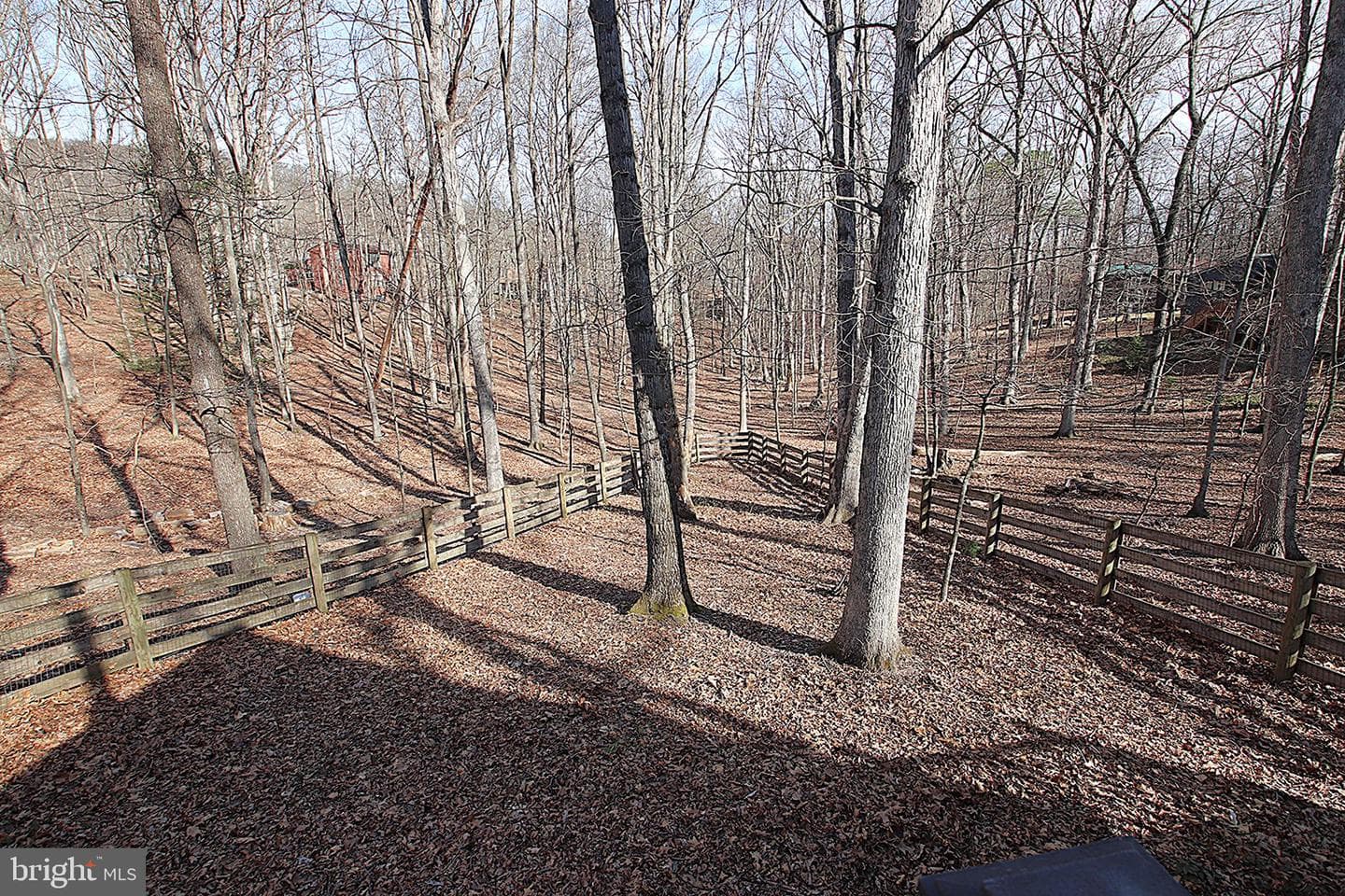 139 Bob White Lane photo 42