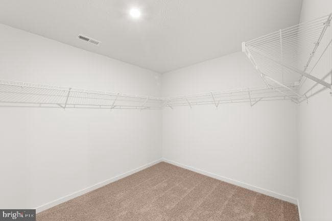 Wv photo 24