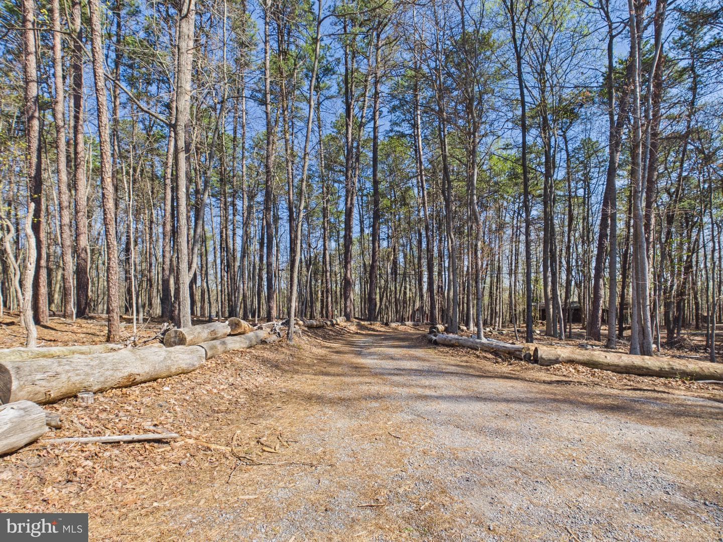 187 Shawnee Trail photo 12