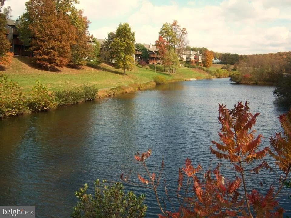 187 Shawnee Trail photo 43