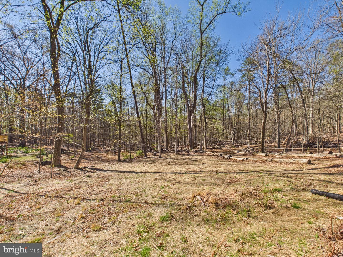 187 Shawnee Trail photo 9