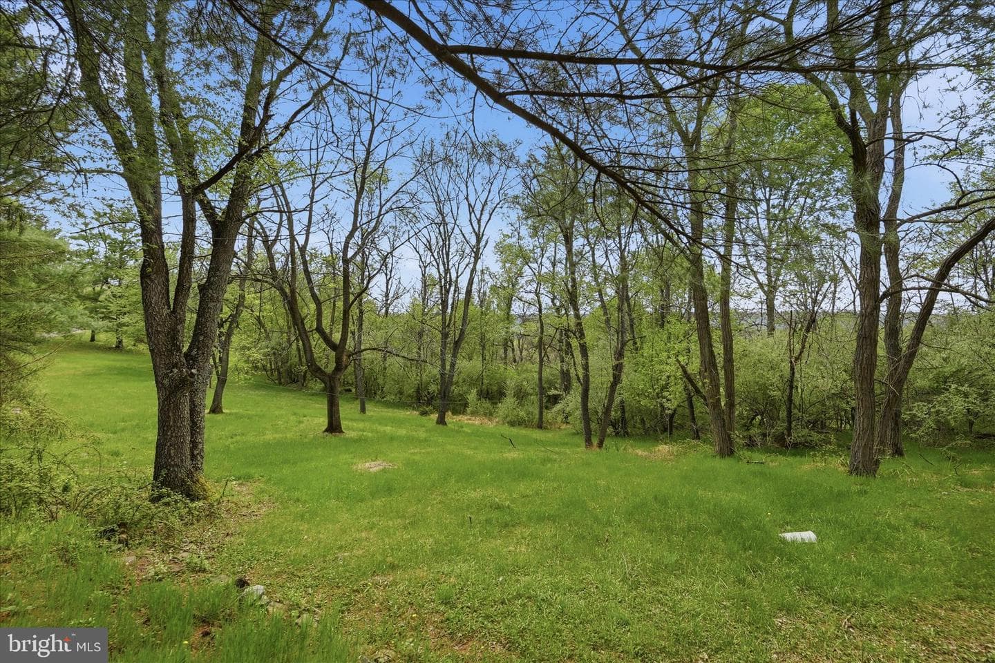 9207 Tuscarora Pike photo 32