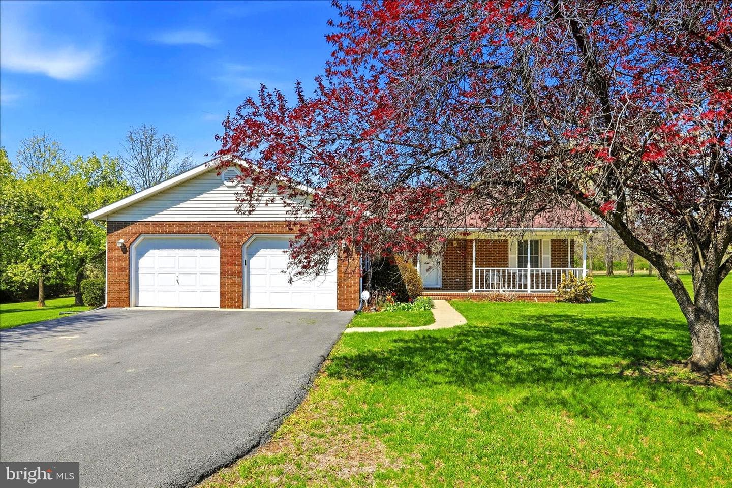 229 Hollis Drive photo 3