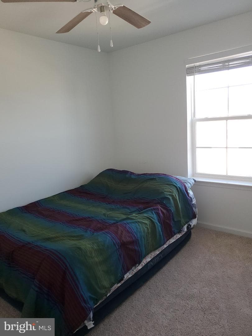 26 Colchester Court photo 18
