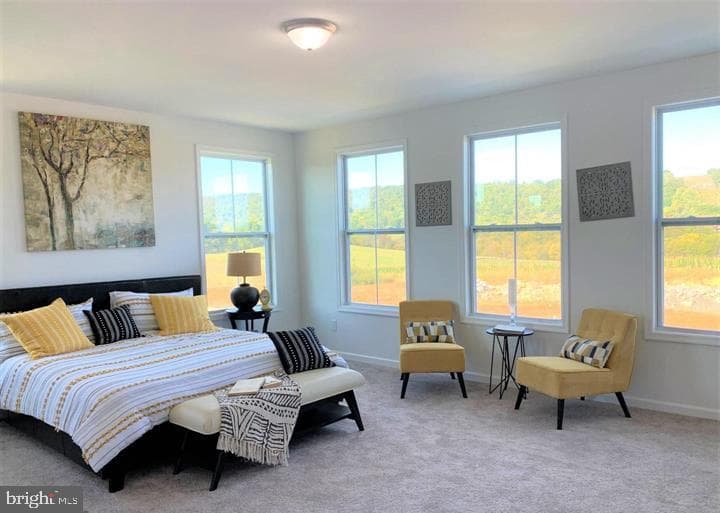 Lot 12 Glenaire Road photo 18