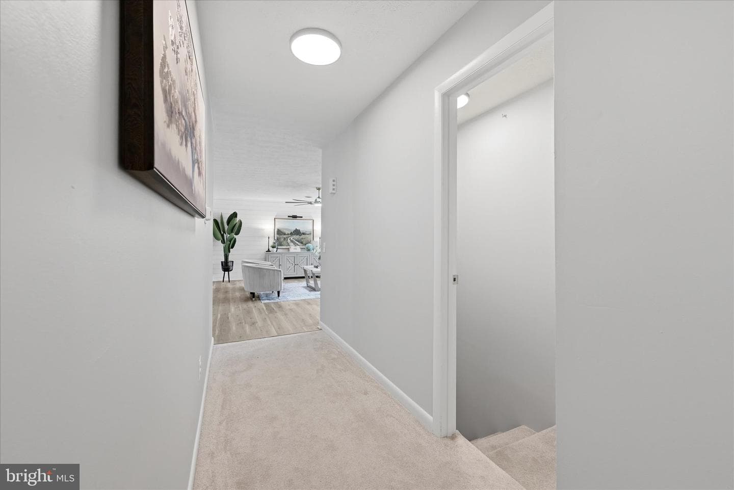 144 Brenda Drive photo 36
