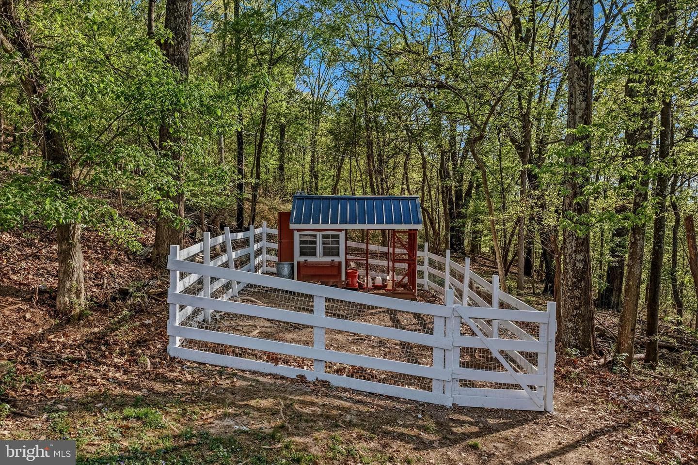 3877 Dry Run Road photo 64