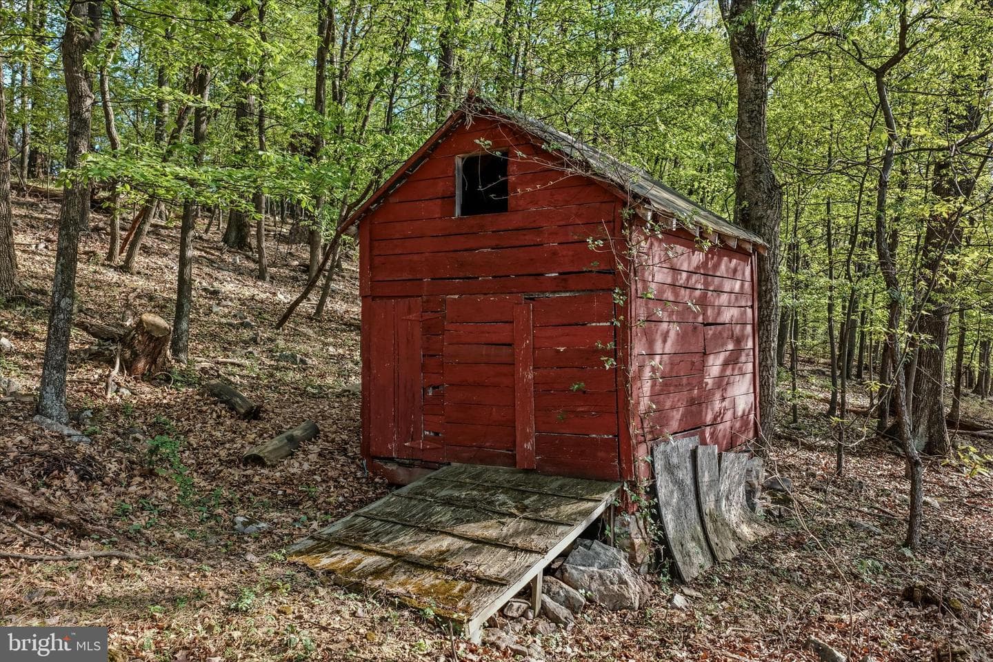 3877 Dry Run Road photo 67