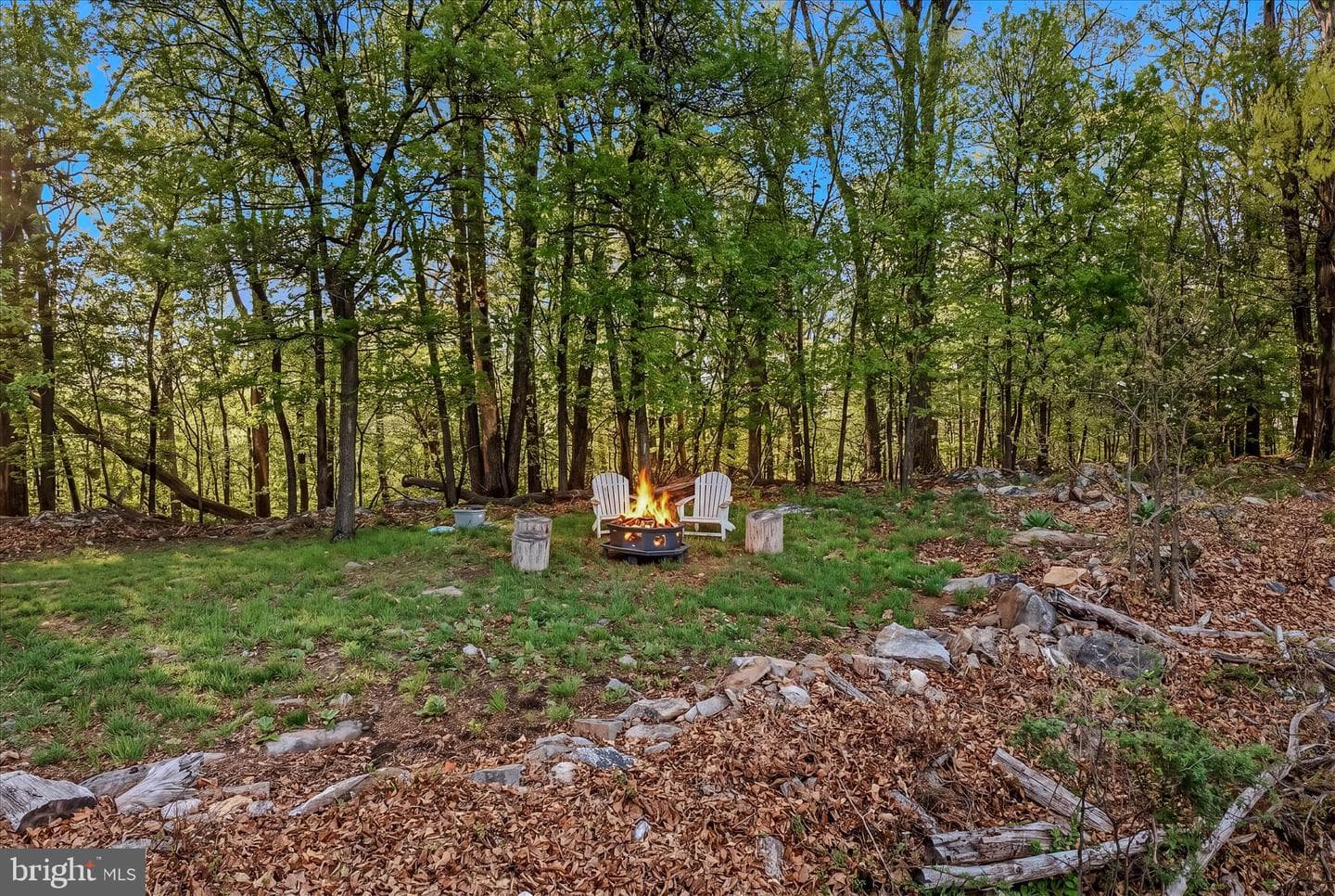 3877 Dry Run Road photo 70