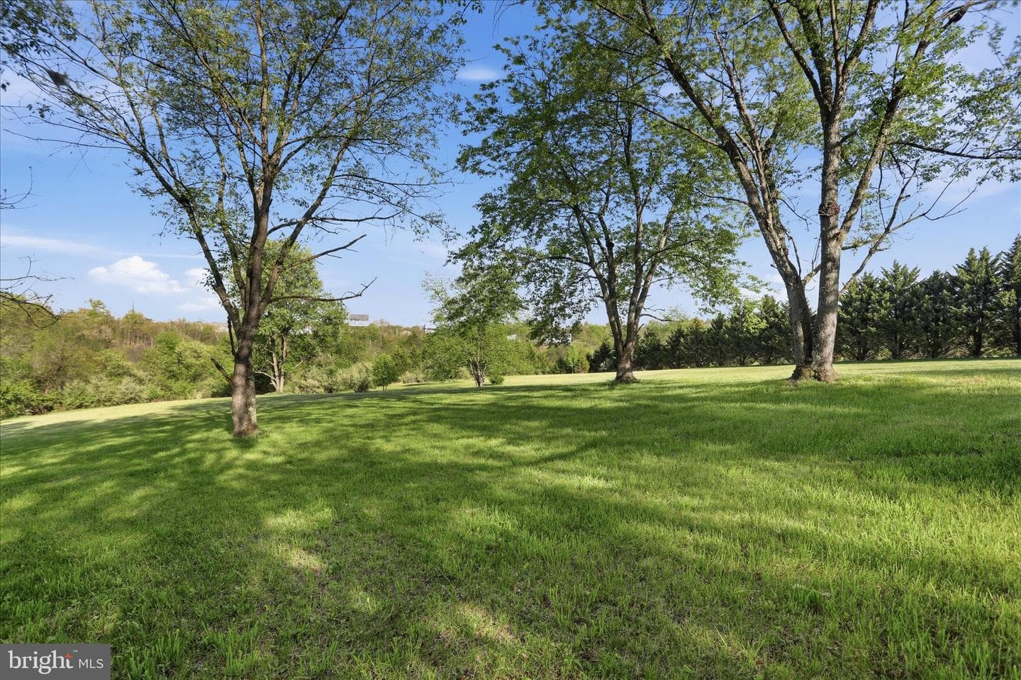 174 Open Field Lane photo 46