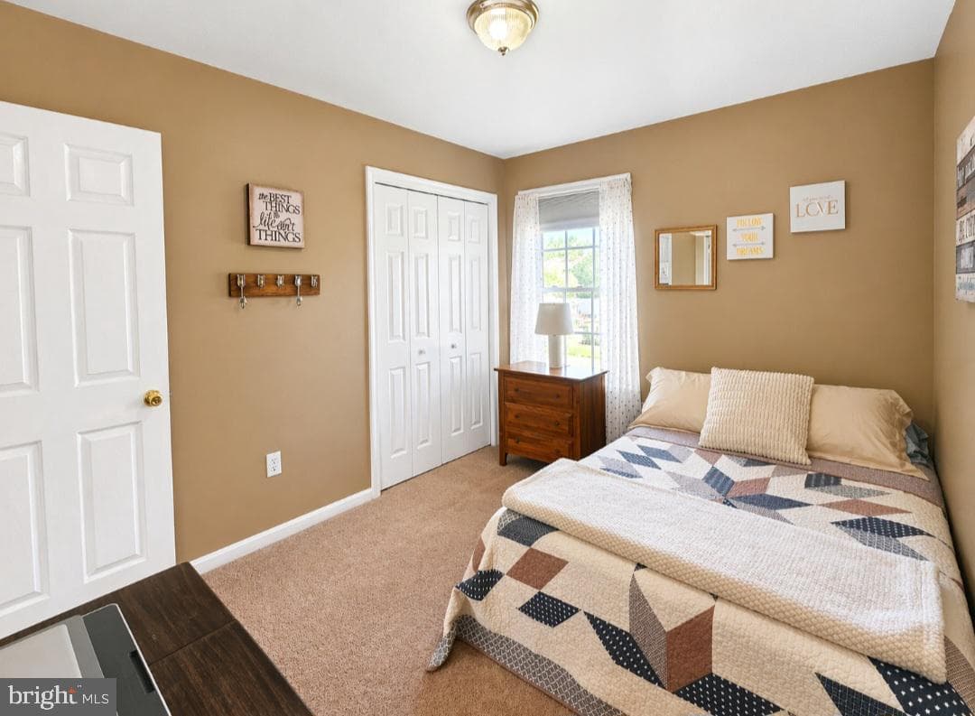 61 Clemson Drive photo 22