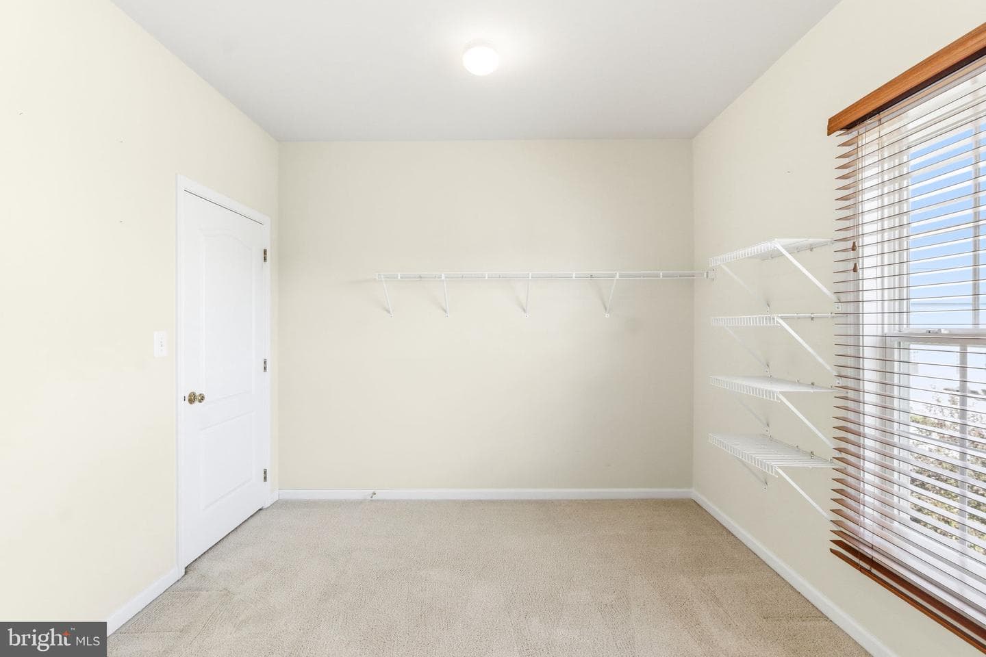 313 Lewisburg Lane photo 41
