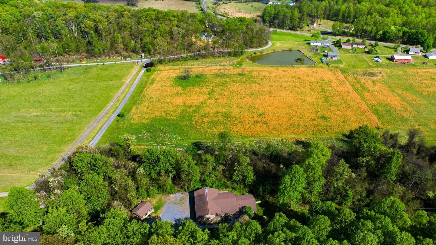 175 Rooney Road photo 11