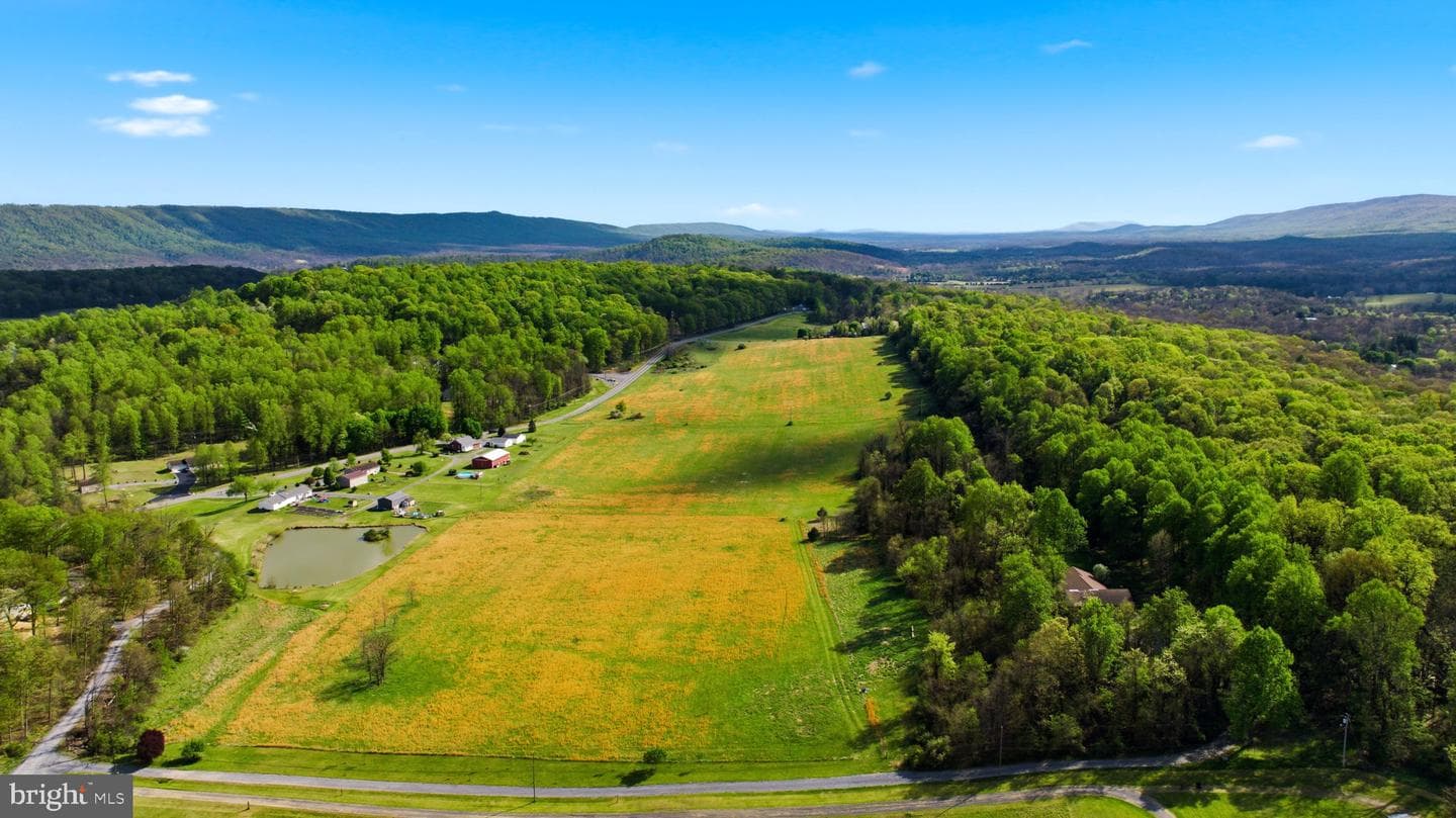 175 Rooney Road photo 14