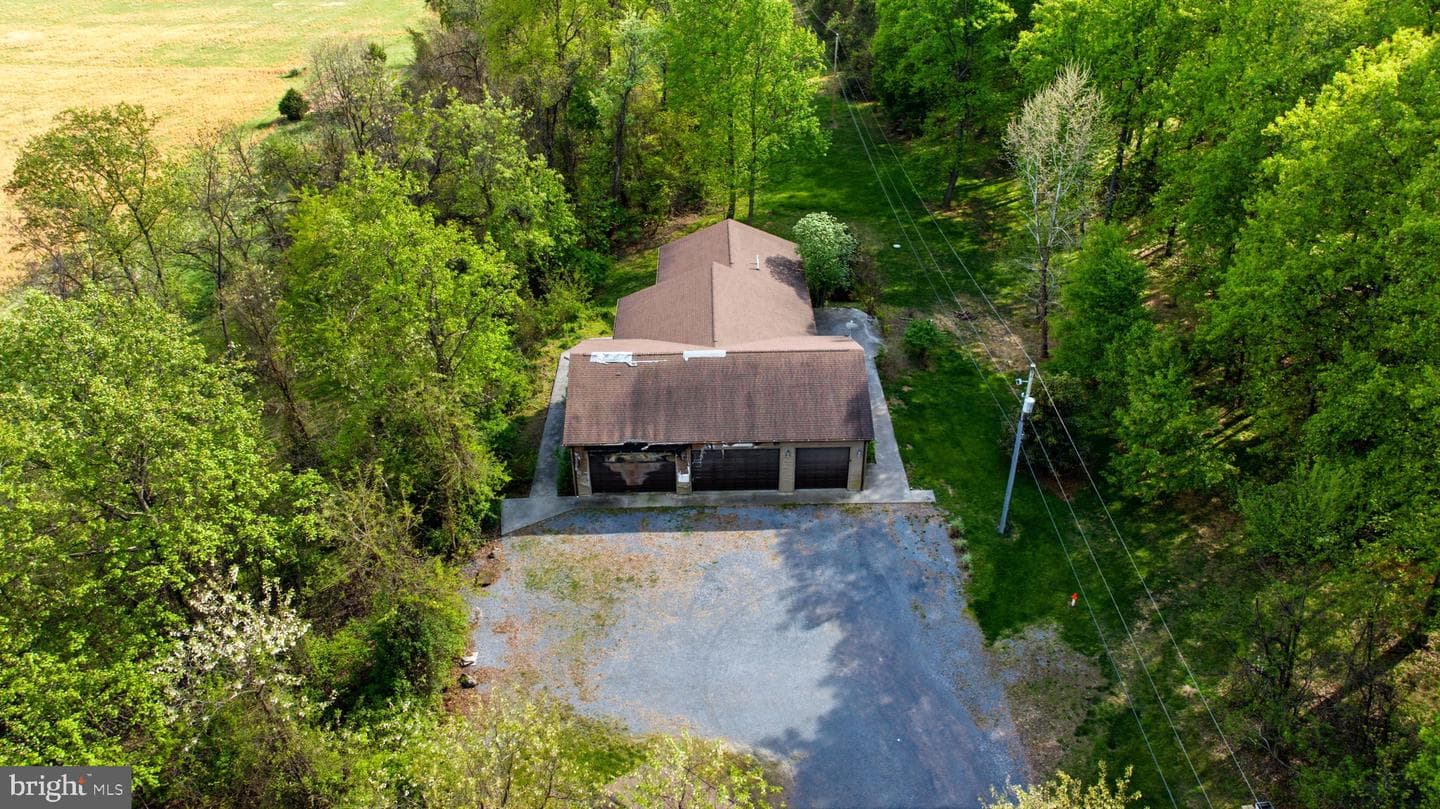 175 Rooney Road photo 15