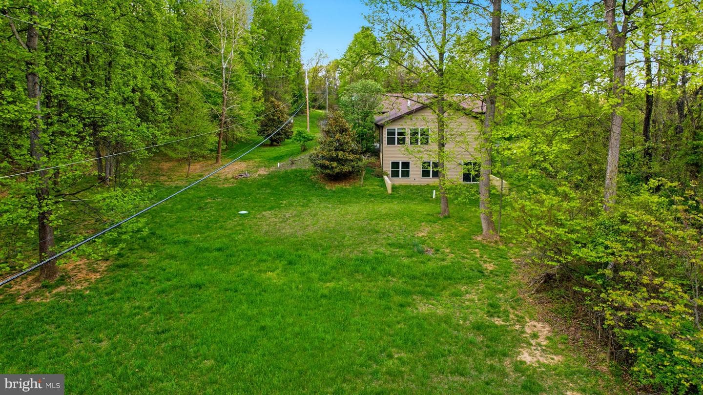 175 Rooney Road photo 4