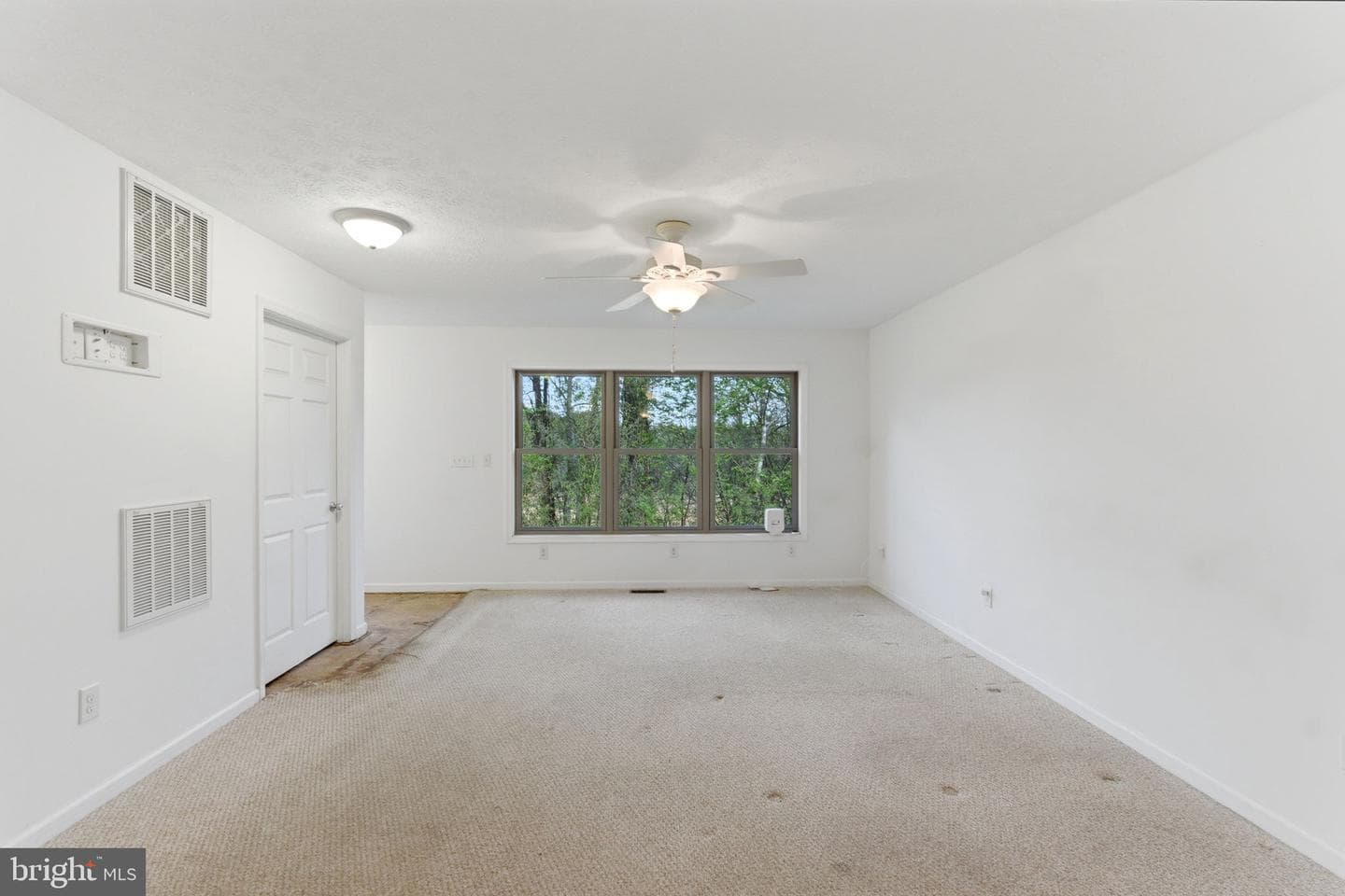 175 Rooney Road photo 42