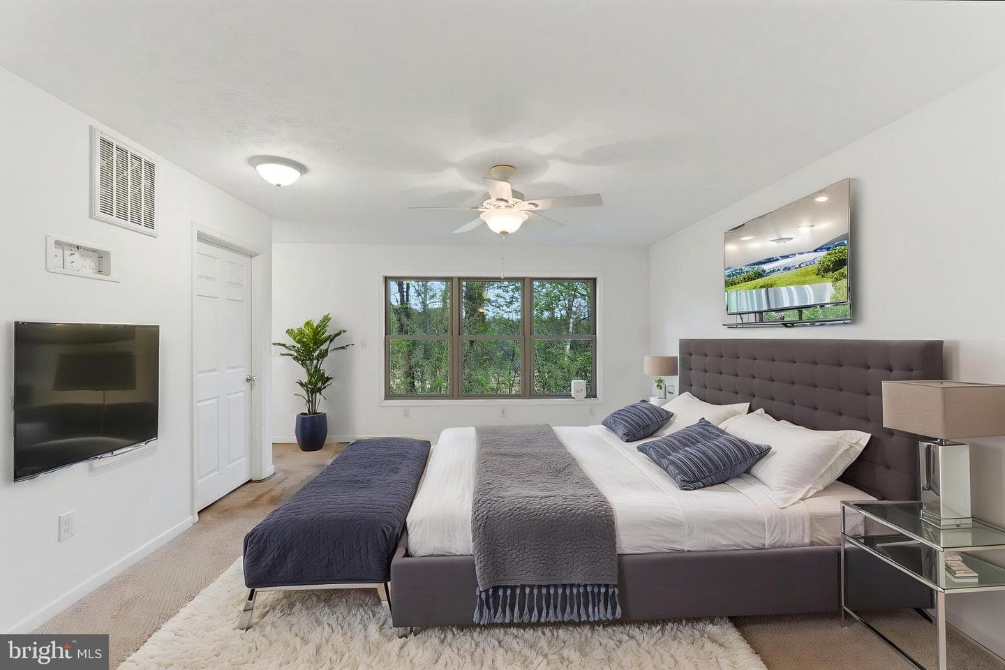 175 Rooney Road photo 43