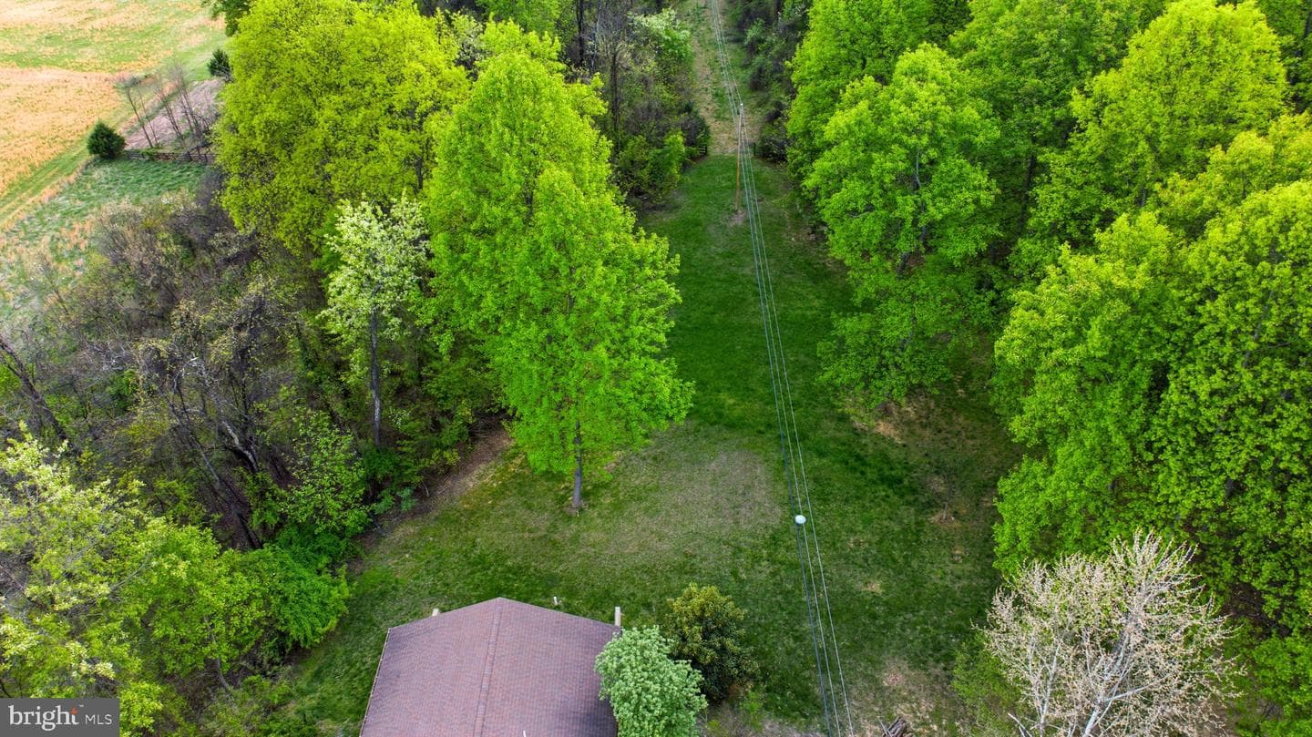 175 Rooney Road photo 5