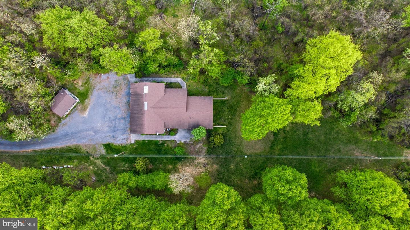 175 Rooney Road photo 6