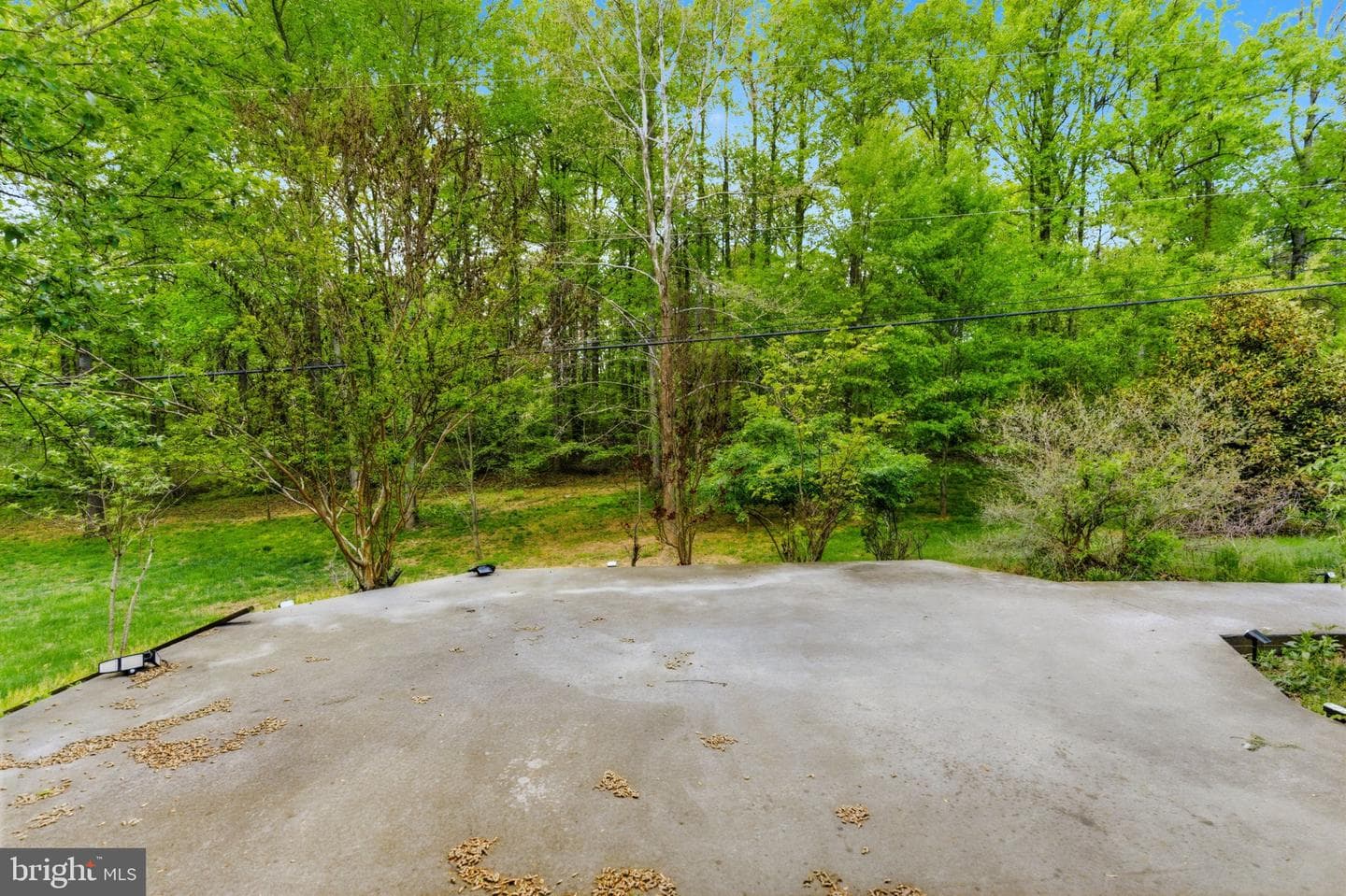 175 Rooney Road photo 68