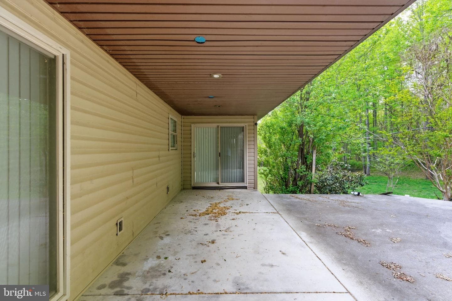 175 Rooney Road photo 69