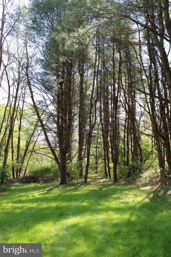 193 Gambit Lane photo 27