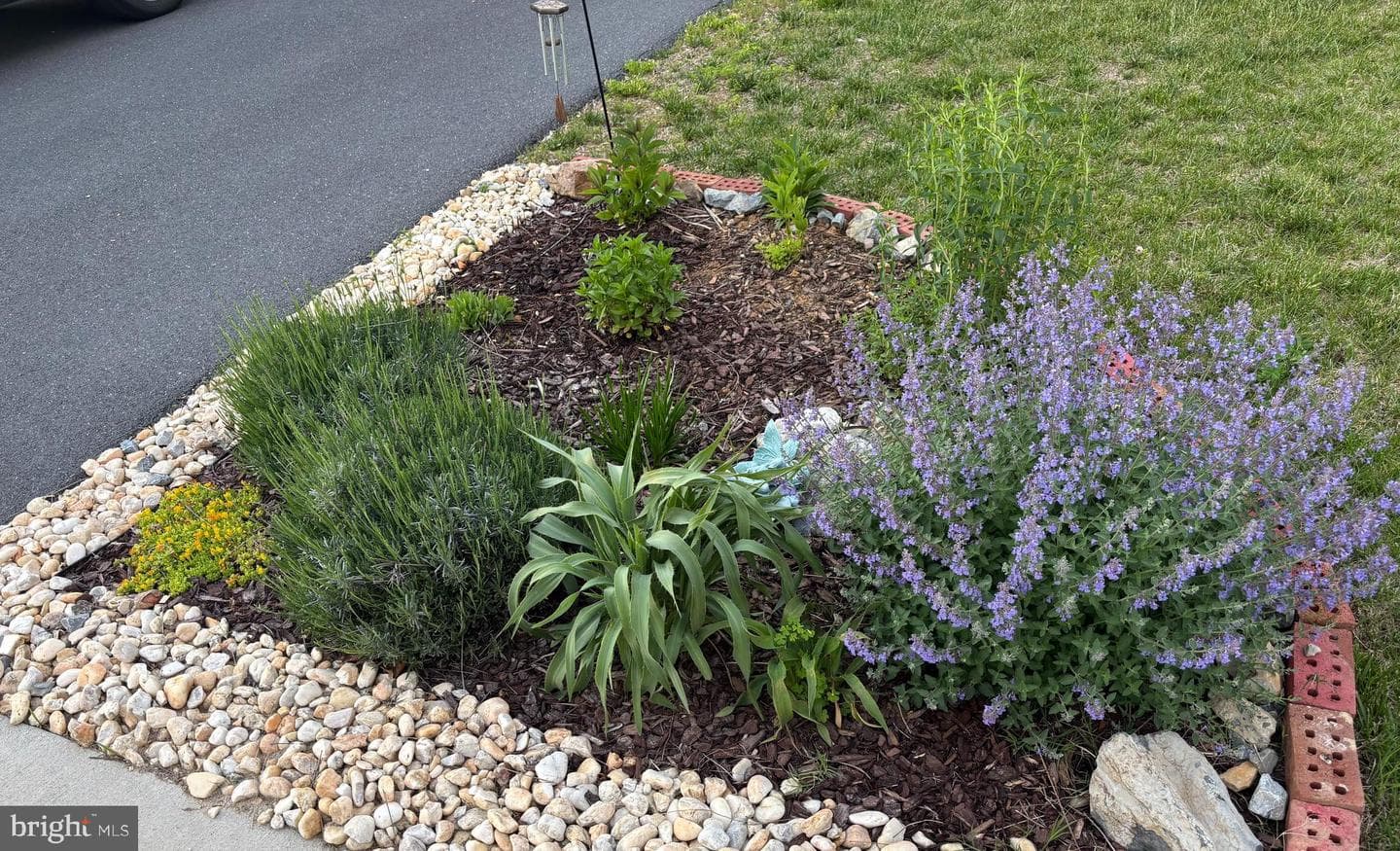 217 Machias Circle photo 58