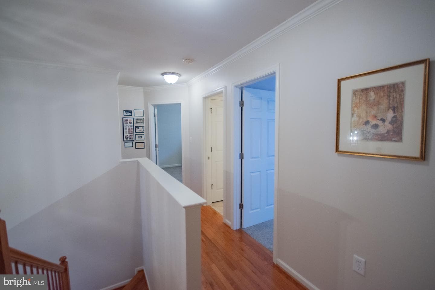 567 Rivanna Run photo 29