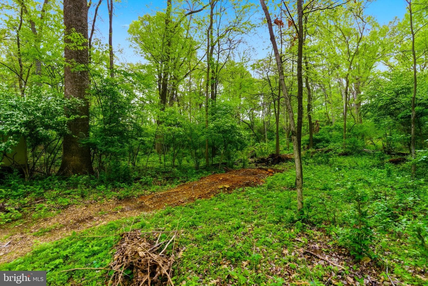 387 Weaver Lane photo 72