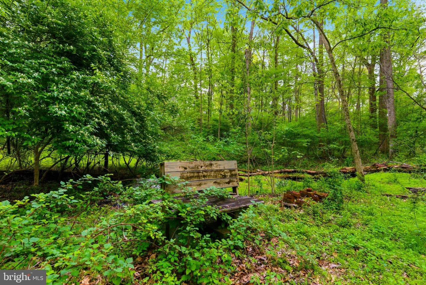 387 Weaver Lane photo 73