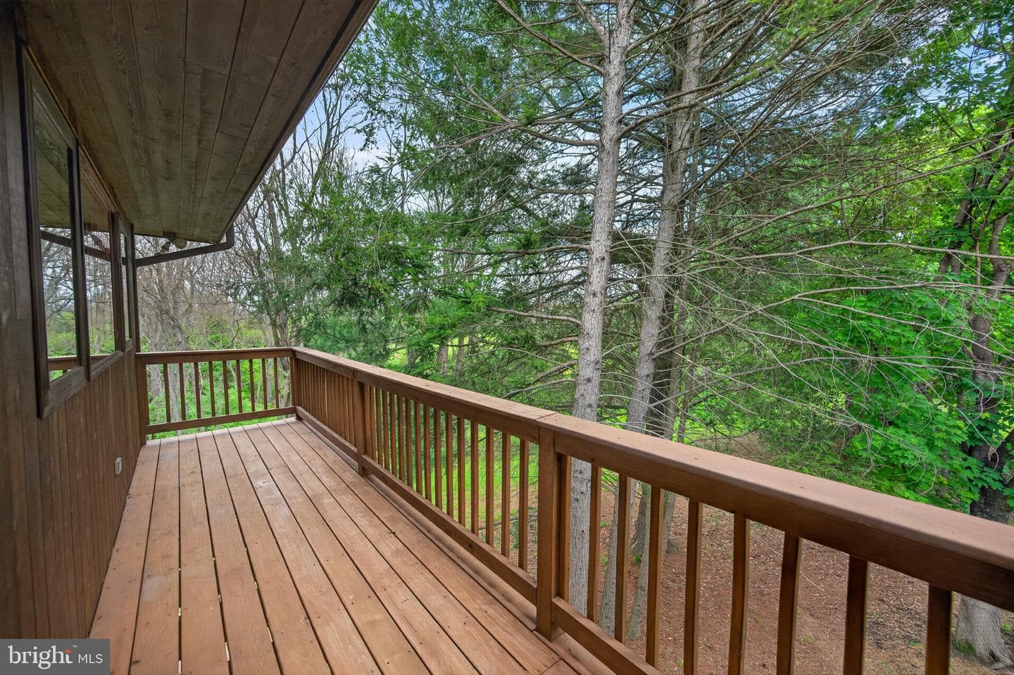 648 Abbie Lane photo 34